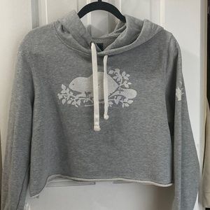 Roots Cropped Hoodie